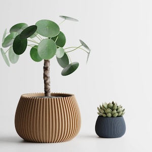 以下が含まれることがあります： 2つの鉢植えの植物。丸い緑の葉を持つ大きな植物が、茶色のリブのある鉢に入っています。緑の葉を持つ小さな植物が、青いリブのある鉢に入っています。