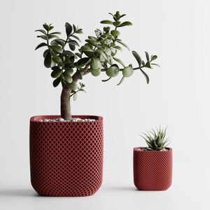 May include: Two red-orange, lattice-patterned planters, one large and one small, each holding a different succulent plant. The larger planter contains a jade plant with small, round green leaves. The smaller planter holds a spiky succulent.
