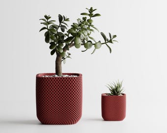 Korb-Würfel Übertopf | Küche Haus Schlafzimmer Geschenk für Mini-Pflanzen 3D gedruckt 3 4 5 6 7 8 Zoll KORG