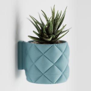 May include: A light blue planter with a quilted design, holding a small green succulent plant. The planter has a small handle on the side and is mounted to a white wall.