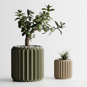 May include: Two decorative planters with plants. The larger, olive green planter holds a jade plant. The smaller, tan planter contains a succulent. Both planters have a geometric, ridged design. The plants are green and the background is white.