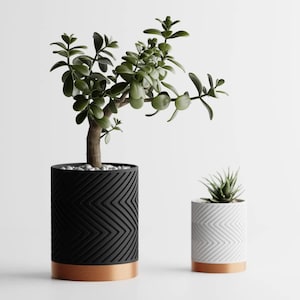 May include: Two potted plants with a black and white geometric pattern on the pots. The larger pot is black with a copper rim and the smaller pot is white with a copper rim.