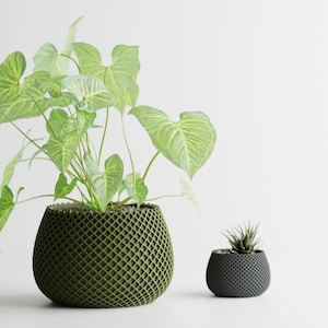 May include: Two potted plants, one with green leaves in a green textured pot and the other with green leaves in a dark grey textured pot.