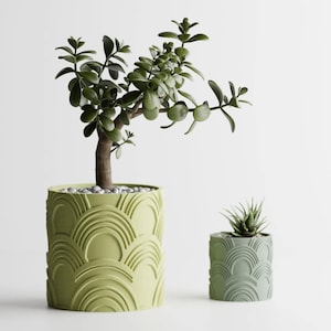 Può includere: Due piante in vaso con vasi a motivi geometrici verdi e verde chiaro. Il vaso più grande contiene una pianta di giada con foglie verdi. Il vaso più piccolo contiene una succulenta con foglie verdi.