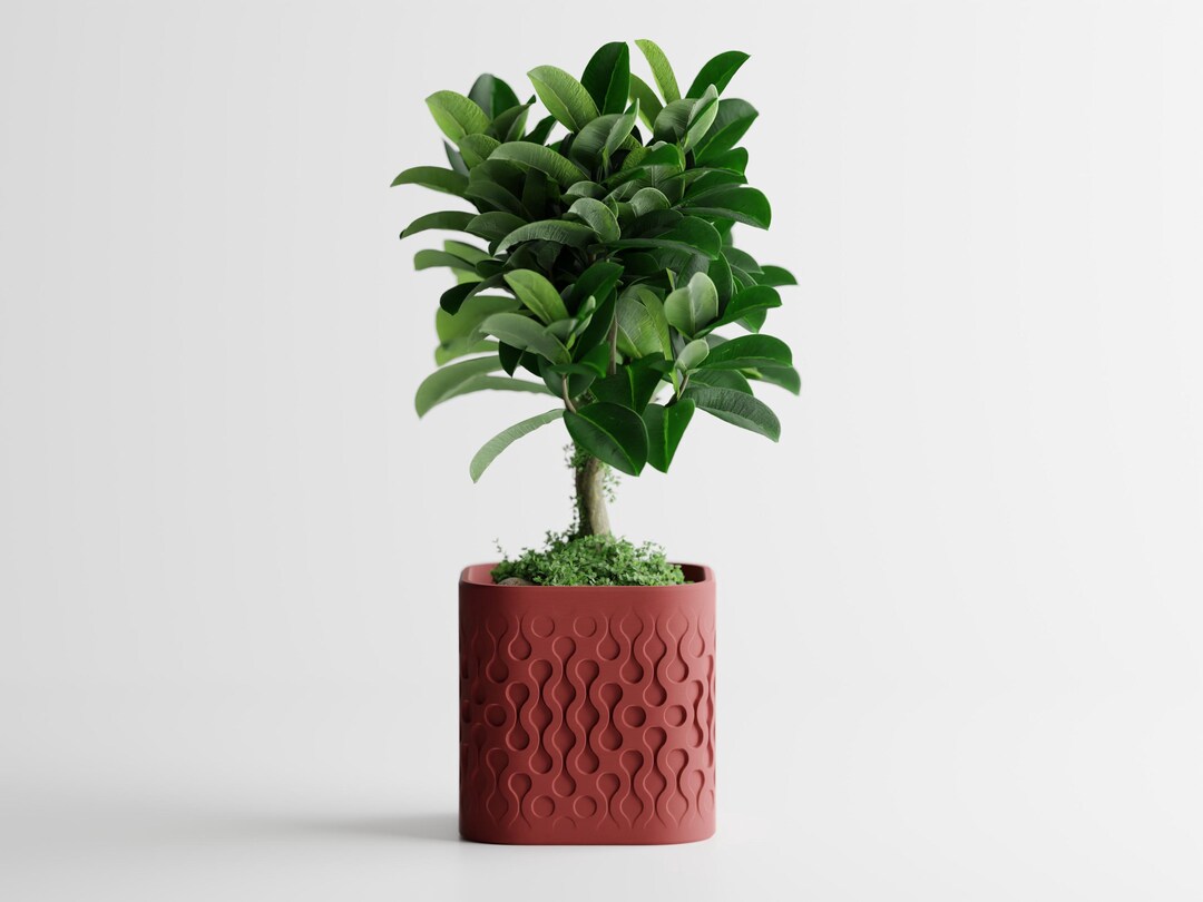 Flowform Modern-style Square Planter | Kitchen Home Bedroom Gift for ...