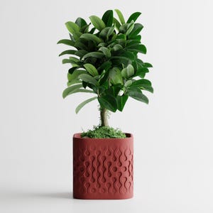Flowform Modern-Style Square Planter | Kitchen Home Bedroom Gift For Mini Plants 3D Printed 3 4 5 6 7 8 inch