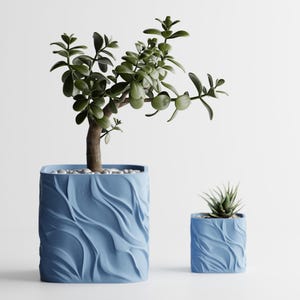 Könnte beinhalten: Zwei blaue quadratische Pflanzgefäße mit wellenförmigem Design. Der größere Topf enthält eine Jade-Pflanze mit grünen Blättern und einem braunen Stamm, der kleinere eine Sukkulente. Weiße Kieselsteine sind im größeren Topf sichtbar.