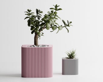 Macetero moderno forrado / Regalo para cocina, hogar y dormitorio para miniplantas, impreso en 3D, 3, 4 y 5 pulgadas, RADER