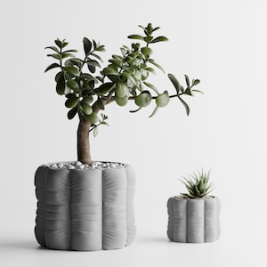 May include: Two gray, textured planters with plants. The larger planter holds a jade plant with green leaves and a brown trunk. The smaller planter contains a succulent. Both planters have a unique, quilted design.