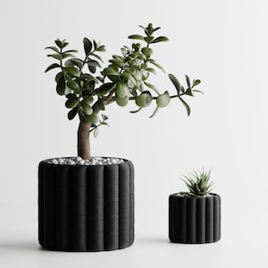 May include: Two black, ribbed planters with green plants. The larger planter holds a small tree with rounded green leaves and small white stones. The smaller planter has a succulent. The background is white.