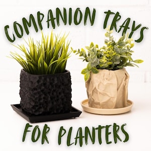 May include: Two planters with greenery, one black textured square pot with a matching tray, and one beige paper-wrapped pot on a beige tray. The text "COMPANION TRAYS FOR PLANTERS" is written in green.