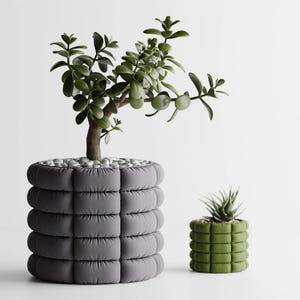May include: Two decorative planters. The larger, gray planter has a quilted design and holds a small tree with green leaves. The smaller, green planter also has a quilted design and holds a succulent plant.
