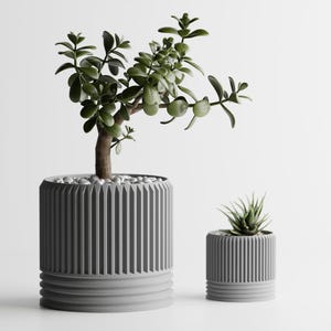Op de afbeelding: Twee grijze, geribbelde plantenbakken, één groot en één klein, elk met een andere vetplant. De grotere plantenbak heeft een jadeplant met groene bladeren en een bruine stam. De kleinere heeft een kleine vetplant.