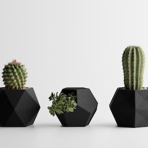 May include: Three black geometric planters with various succulents and cacti. The planters have a textured surface and are arranged in a row against a white background. The plants include a round cactus, a succulent, and a tall cactus.