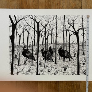 wild turkeys