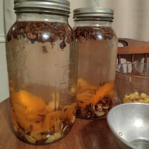 Dandelion Root Digestive & Cocktail Bitters - 6oz bottle