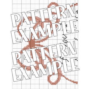 Op de afbeelding: Een kruissteekpatroonvoorbeeld op een rasterachtergrond. Het ontwerp is in bruintinten en bevat de woorden "PATTERN EXAMPLE" tweemaal herhaald. De afbeelding bevat de winkelnaam en het websiteadres onderaan.