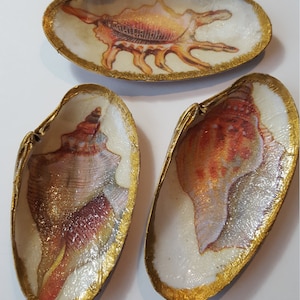 May include: Three decorative seashells with gold-painted edges. Each shell features a different seashell illustration in shades of orange, red, and brown against a white background. The shells are arranged on a white surface.