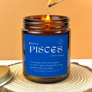 Funny Pisces Candle Zodiac Candles Gift For Pisces February Birthday Gift For Her March Birthday Candle Gift For Best Friend Scented Candle