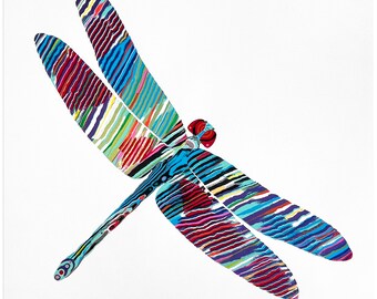 ILLUSTRATED DRAGONFLY