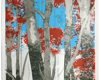 Woodland Birch