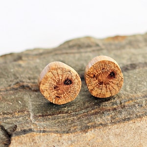Tiny Wood Post Earrings Tree Branch Small Studs Sustainable Reclaimed Wooden Jewelry by Hendywood W image 1