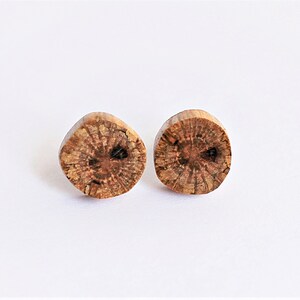 Tiny Wood Post Earrings Tree Branch Small Studs Sustainable Reclaimed Wooden Jewelry by Hendywood W image 2