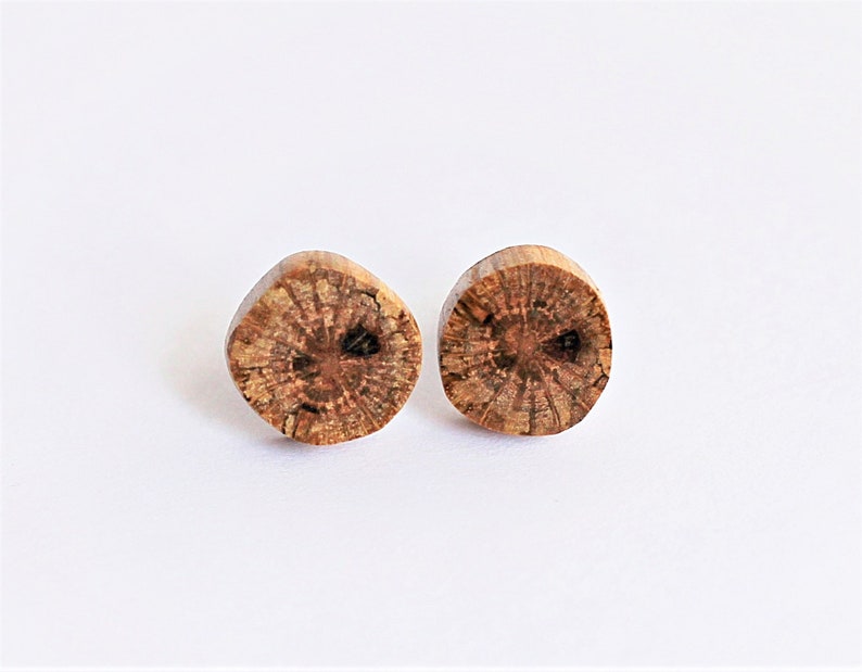 Tiny Wood Post Earrings Tree Branch Small Studs Sustainable Reclaimed Wooden Jewelry by Hendywood W image 2