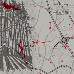 Benutzerdefinierte Blair Witch Projekt Horrorfilm Karte - Digital Download, Gruselige Wald Dekoration, Einzigartiges Geschenk für Horror Fans, Beängstigende Wandkunst
