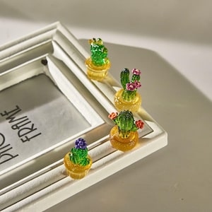 May include: Four miniature glass cacti in pots, each with different colored flowers, sitting on a white photo frame. The frame says "Photo Frame" in black text.