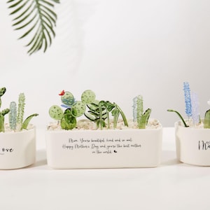 Handmade Fused Glass Succulent Arrangement: Everlasting Botanical Art