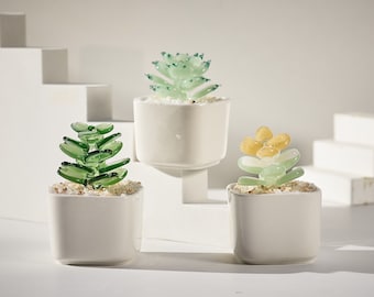 Handmade Glass Succulents,Glass Potted Plants, Fused Glass Succulents, Stained Glass, Cactus Lover,Artificial House Plant,Car Decoration Set