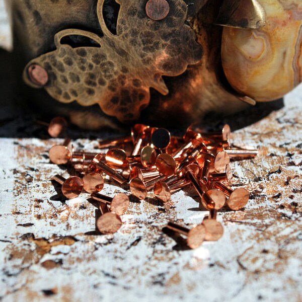 3-5 Brass Brake Rivets - 9/64 Body, .296 Head, .218 Depth, 5/16 Length (Pack Of 100)