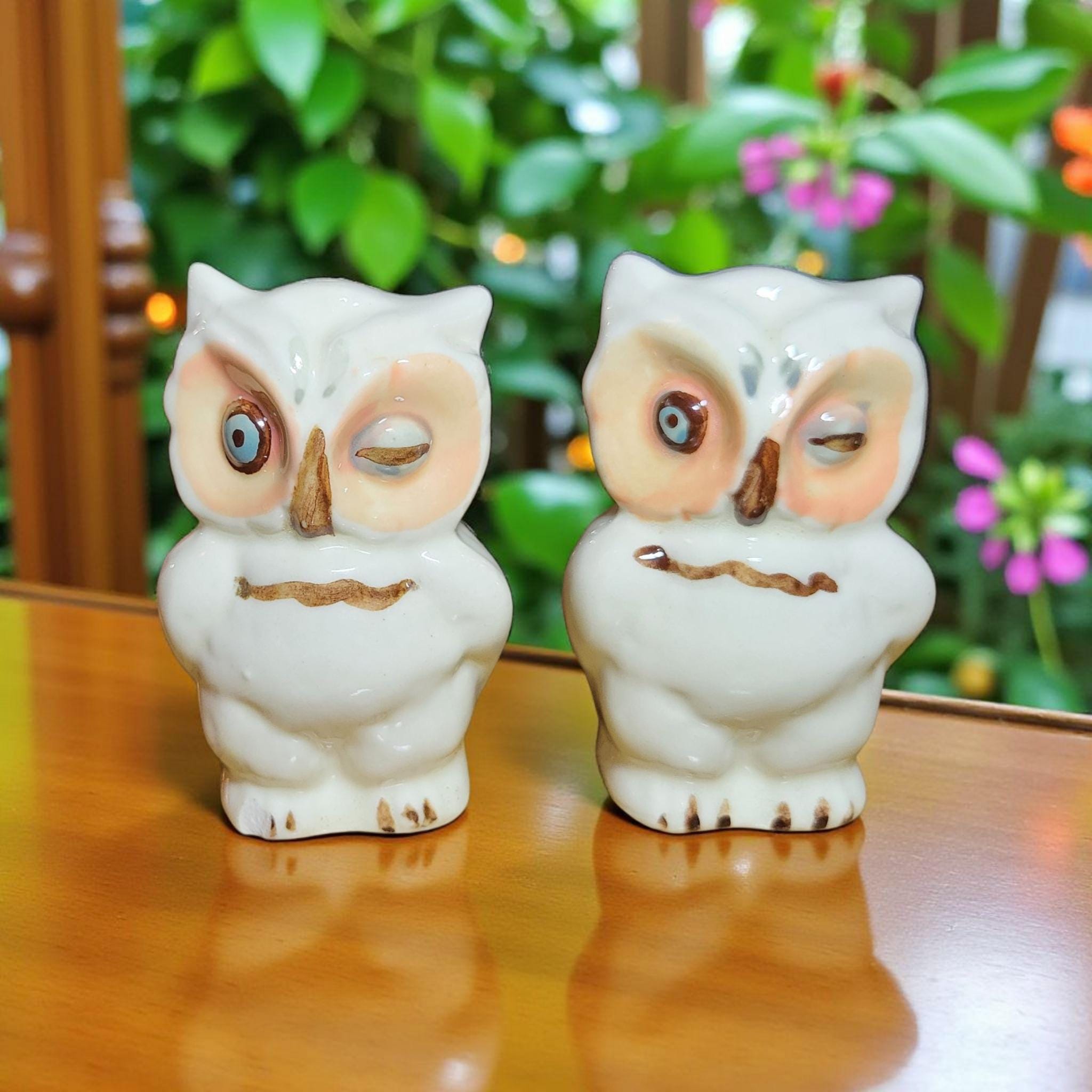 Shawnee Winking Owl - Etsy