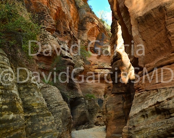 David Garcia SMD Photography - Mt Zion Riverbed