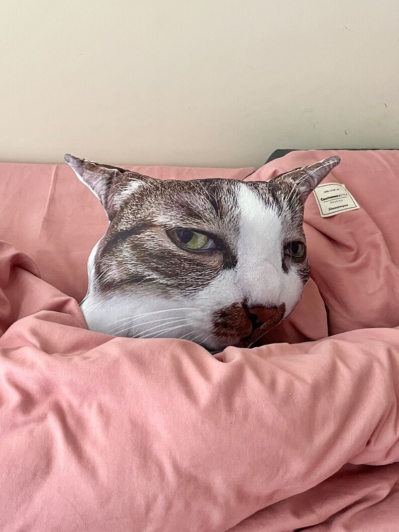 Personalized Ugly Funny Pet Pillow - Custom Cat Dog Pillow, DIY Abstract Prank Gift - View #3