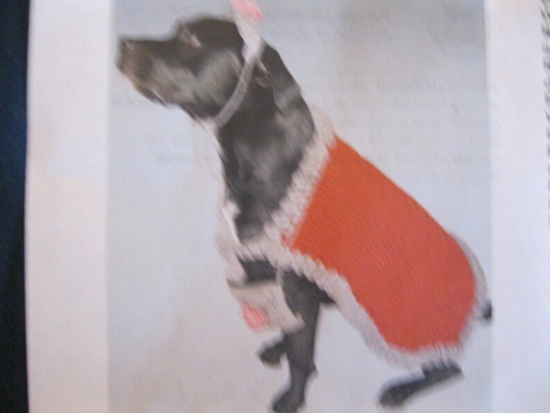 Crocheted Diva Doggy Halloween Costume Dog Puppy Doggie Cape Etsy