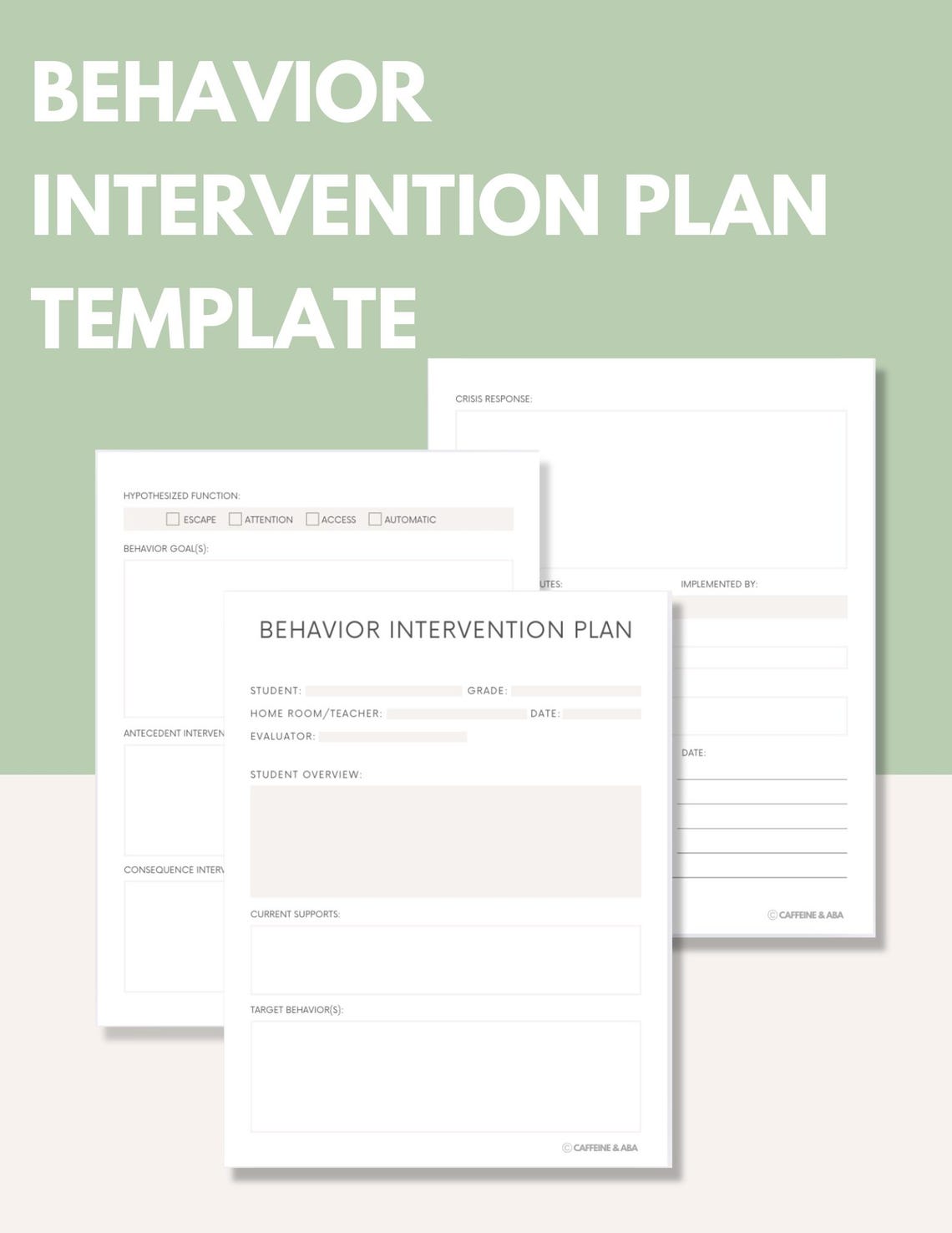 Behavior Intervention Plan | Editable BIP Template - Etsy