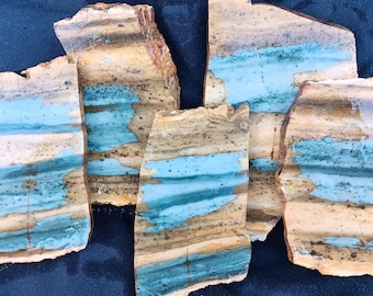 Mosquito Ridge picture jasper. Washington State lapidary slabs for making cabochons etc..