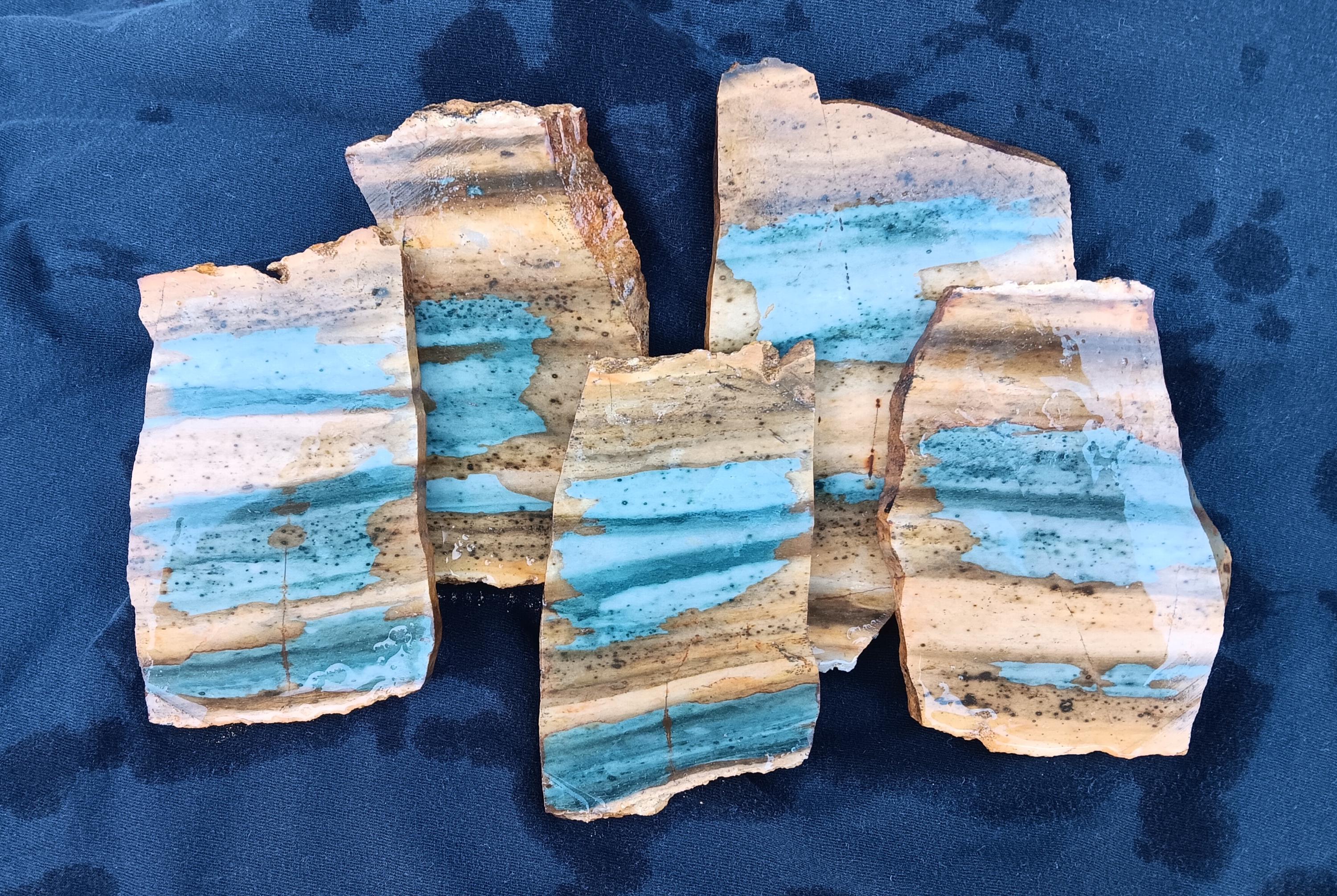 Mosquito Ridge Picture Jasper. Washington State Lapidary Slabs for