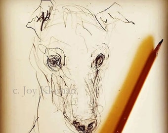 Levriero italiano art