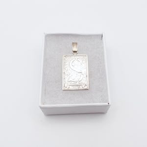 Peut inclure: Un pendentif rectangulaire argenté avec un motif gravé, présenté dans une boîte blanche. Le pendentif présente une image détaillée et une petite boucle pour une chaîne. La boîte a un intérieur blanc doux.