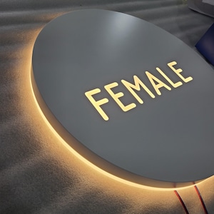 Custom Double-sided Illuminated Light Box, Wall Logo Sign Cabinet, LED Restroom Signage, Dual-lit LED Light Box