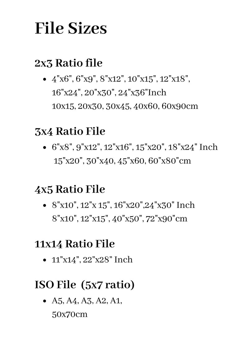 May include: A chart listing different file sizes for images, including 2x3, 3x4, 4x5, 11x14, and ISO file ratios. The sizes are listed in inches and centimeters.