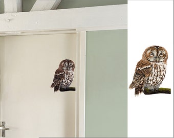 Sleepy Tawny Owl Wall sticker