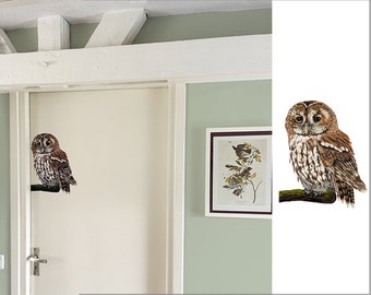 Tawny Owl Wall sticker