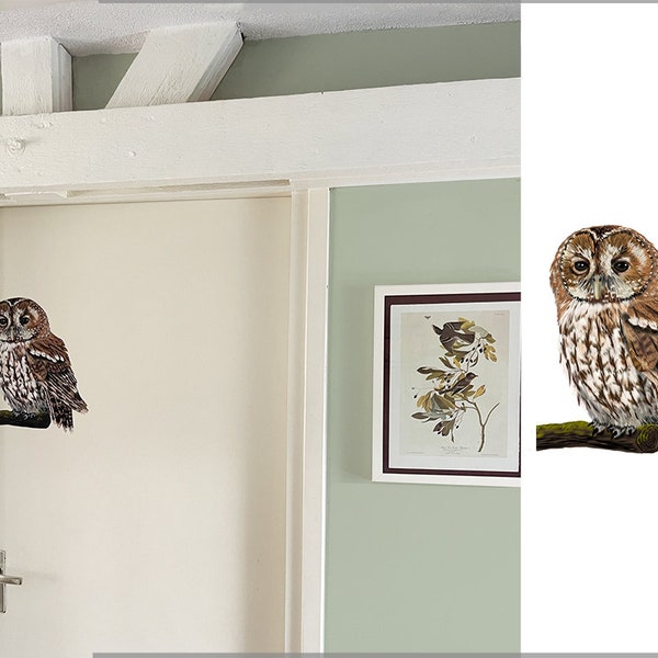 Tawny Owl Wall sticker