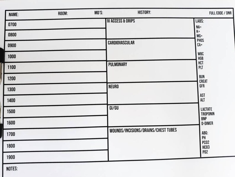 Hourly Day Shift Single Patient ICU Nurse Report Sheet | Etsy
