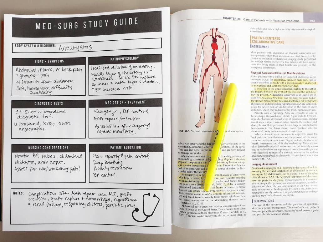 Med-Surg Nursing Student Study Guide Template Nursing School | Etsy