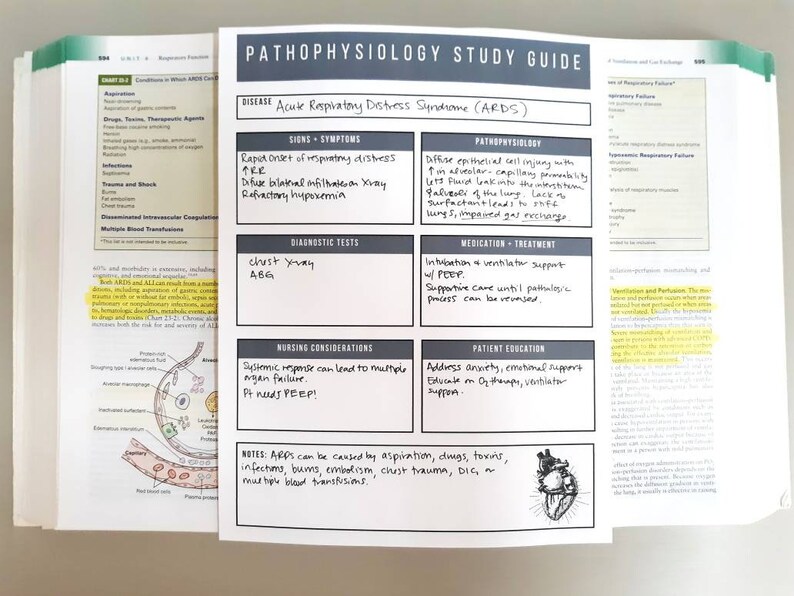 Pathophysiology Nursing Student Study Guide Template, Nursing School Review Sheet, Disease Process, MedSurg, Critical Care, Study Guide image 5